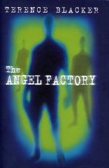 The Angel Factory book cover