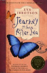 Journey to the River Sea book cover